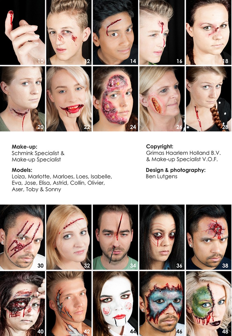 Opheldering scannen slikken Special Make-up Boek